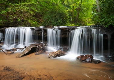 Peaceful Forest Waterfalls Landscape Peaceful Forest Waterfalls Landscape Flowing in Summer - Doctor Mosaraf Ali